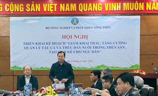 Sinh kế mới cho ngư dân - chìa khóa từ chính sách chuyển đổi nghề